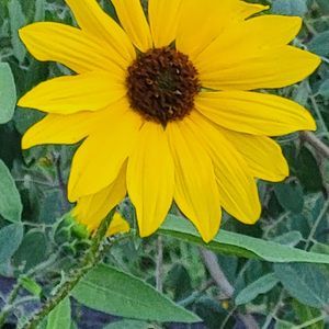 Meet your Posher, Shelly